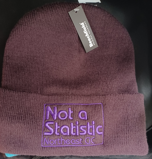 Not A Statistic NE Beanie Hats